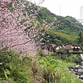 3.和雅谷餐廳-櫻花.jpg