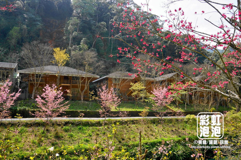 6.杉林溪森林生態渡假園區-住宿區.jpg