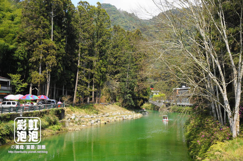 4.杉林溪森林生態渡假園區.jpg