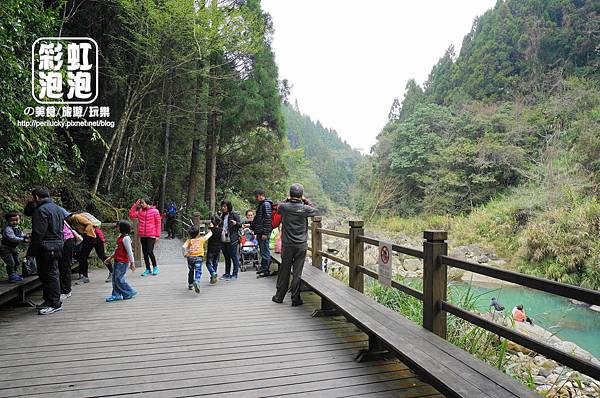 23.杉林溪森林生態渡假園區-穿林棧道親水坪.jpg