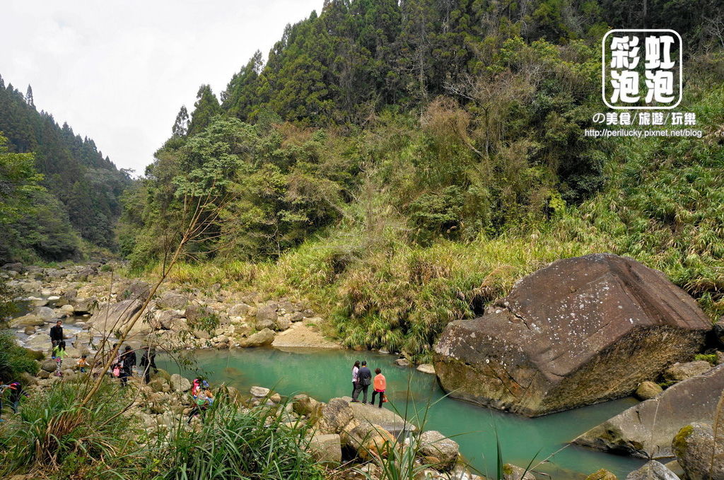 24.杉林溪森林生態渡假園區-穿林棧道親水坪.jpg