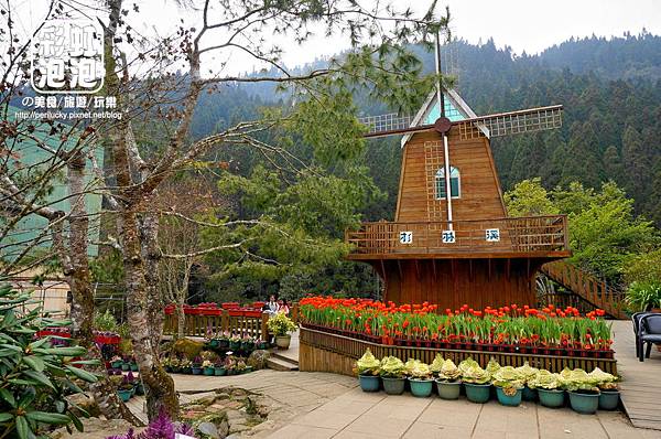 41.杉林溪森林生態渡假園區-藥用植物園.jpg