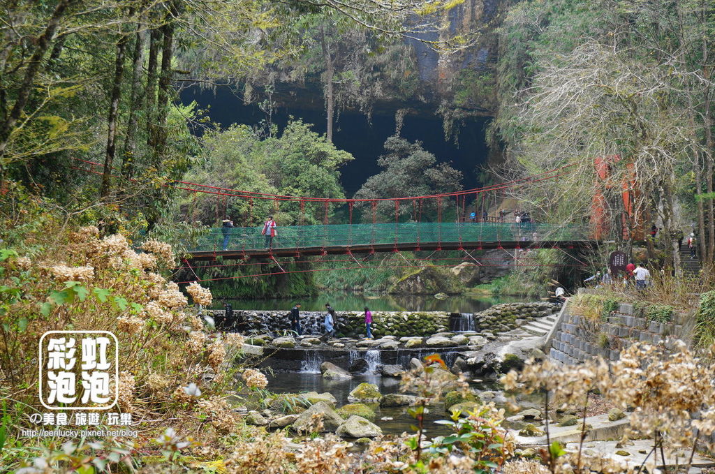 46.杉林溪森林生態渡假園區-九九吊橋.jpg