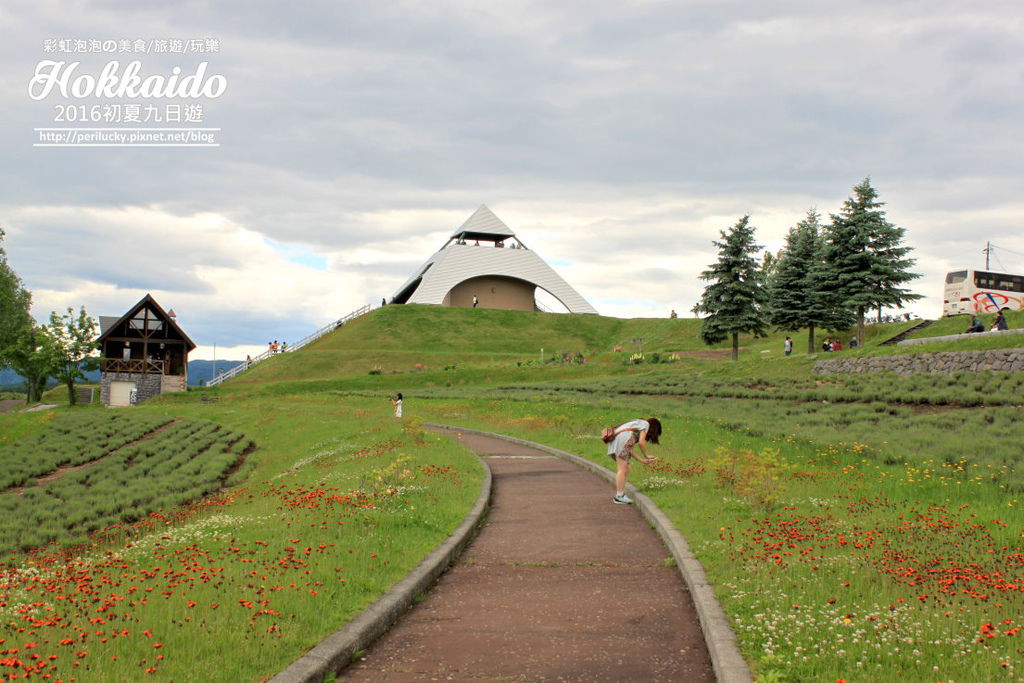 24.北海道美瑛拼布之路-北西之丘展望公園.jpg