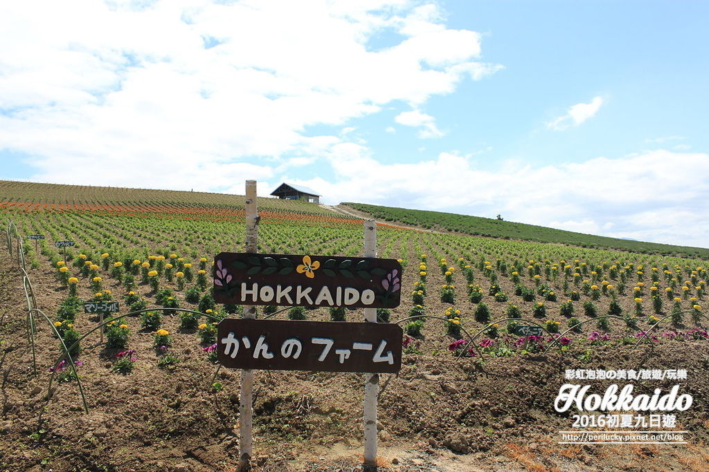 2.北海道富良野-菅野農場.jpg