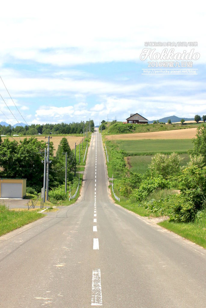 13.北海道富良野-雲霄飛車之路.jpg