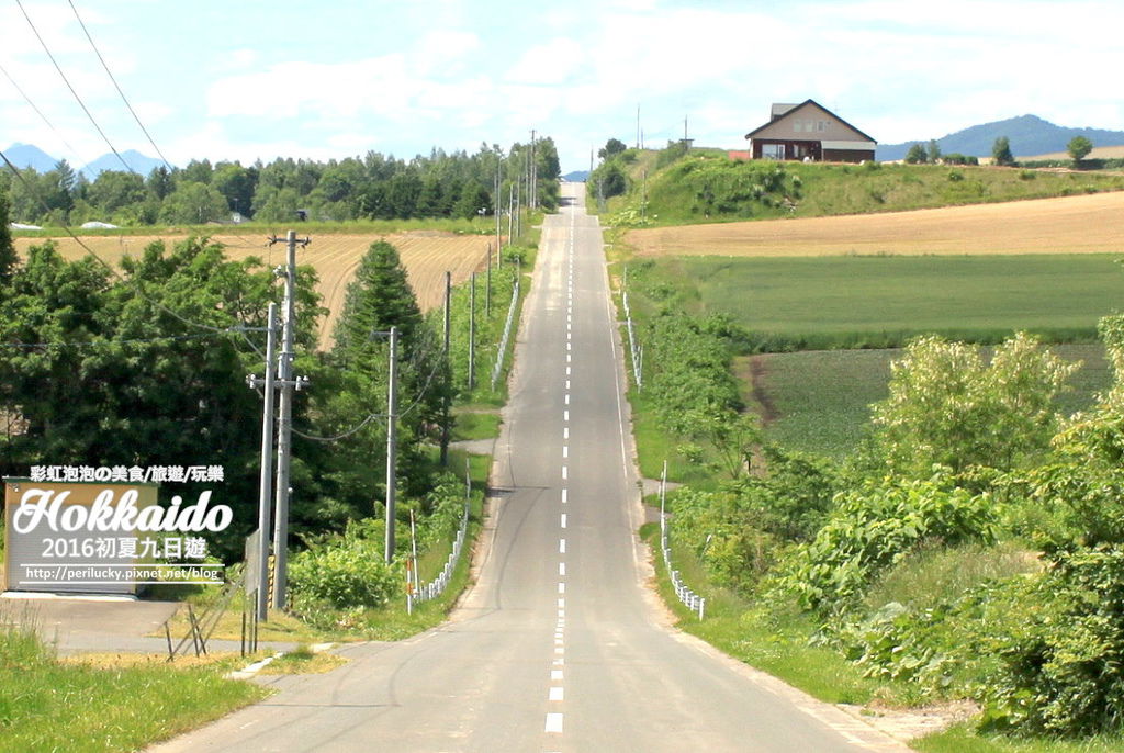 15.北海道富良野-雲霄飛車之路.jpg