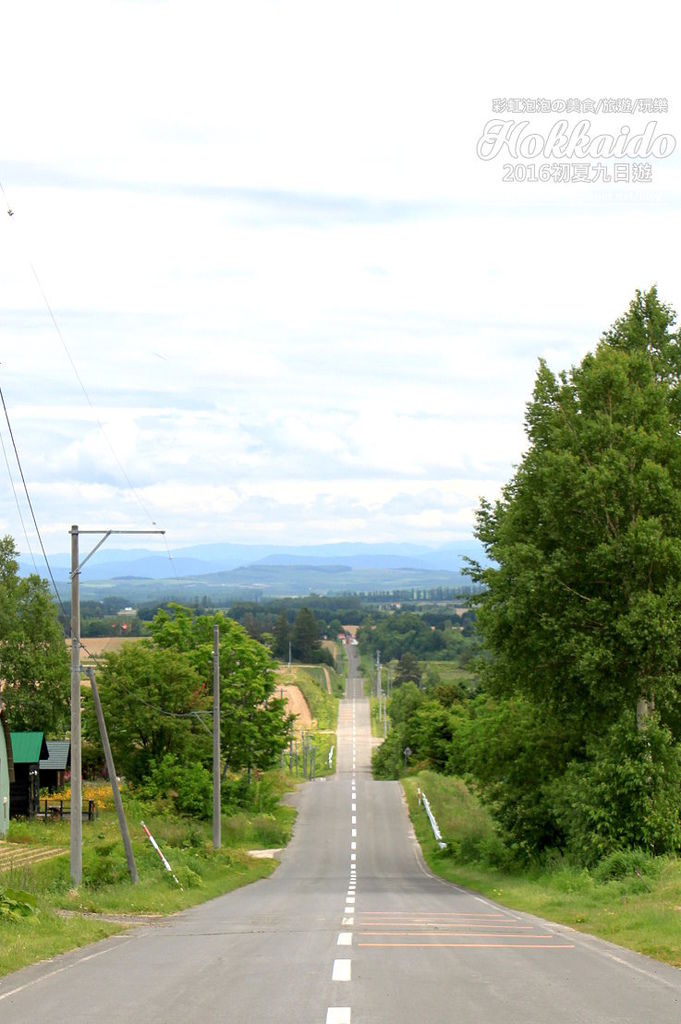 18.北海道富良野-雲霄飛車之路.jpg