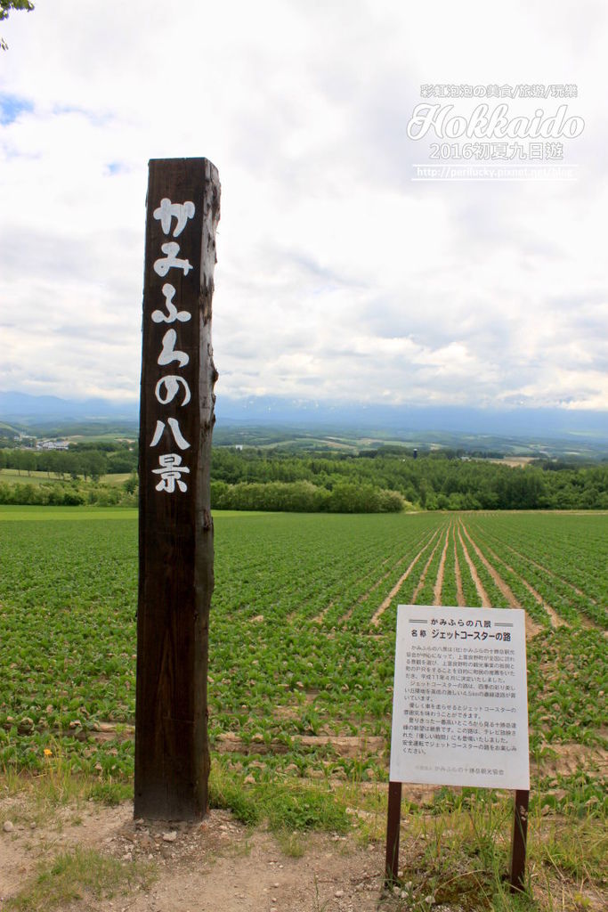 17.北海道富良野-雲霄飛車之路.jpg