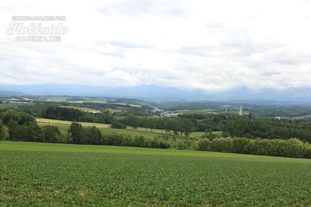 19.北海道富良野-雲霄飛車之路.jpg