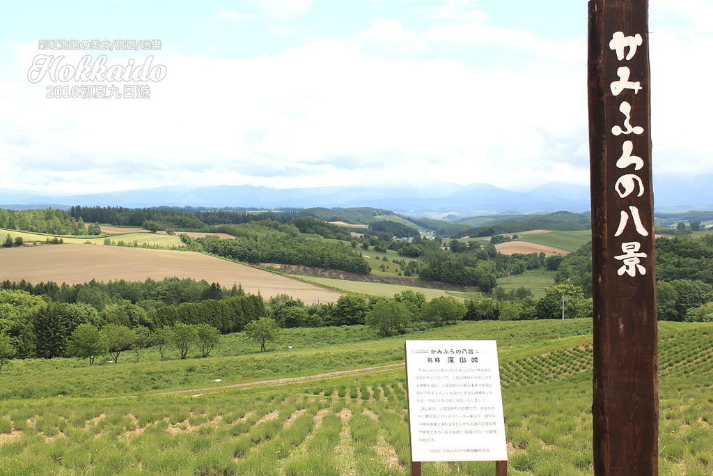 25.北海道富良野-深山嶺.jpg