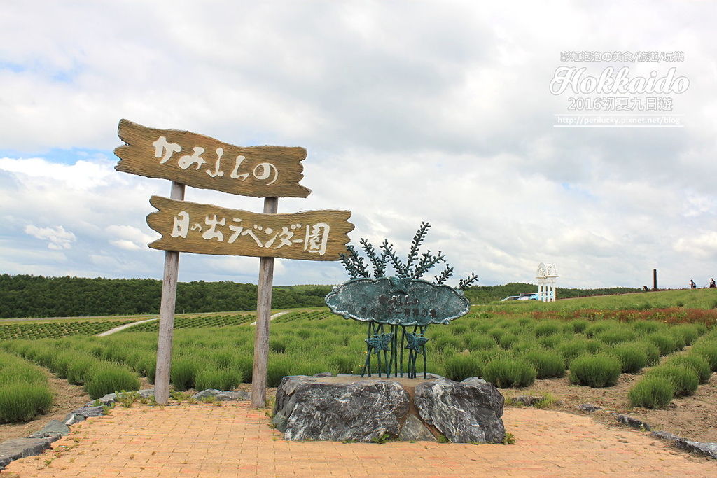 45.北海道富良野-日出公園薰衣草園.jpg 45.北海道富良野-日出公園薰衣草園.jpg