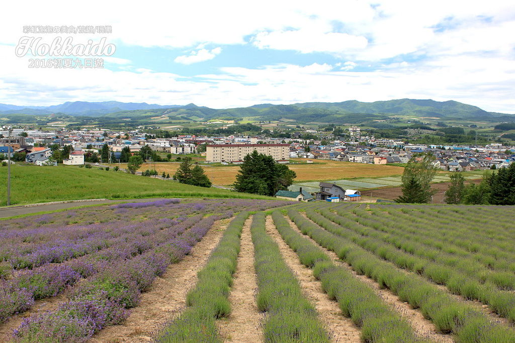 47.北海道富良野-日出公園薰衣草園.jpg