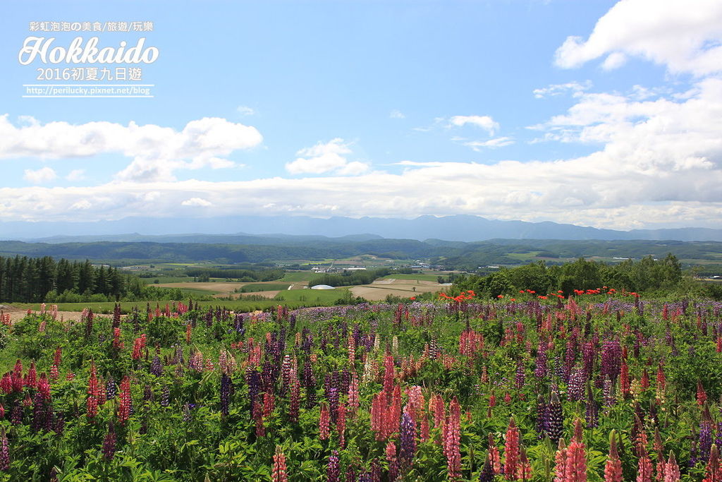 50.北海道富良野-麓鄉展望台.jpg 50.北海道富良野-麓鄉展望台.jpg