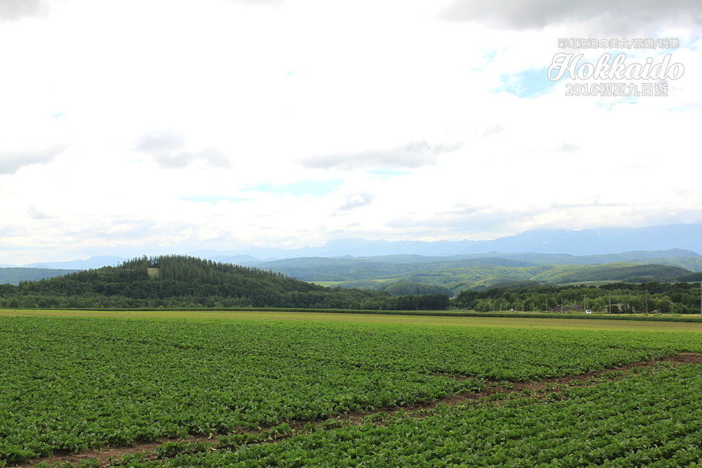 56.北海道富良野.jpg