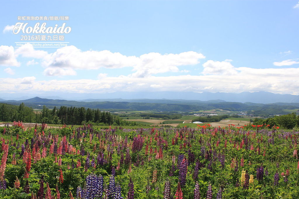 78.北海道富良野-麓鄉展望台.jpg