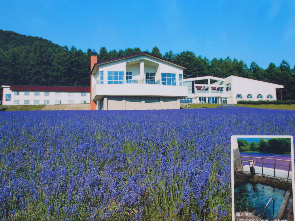 168. 北海道富良野-富良野高地溫泉飯店 Highland Furano-薰衣草花田.jpg