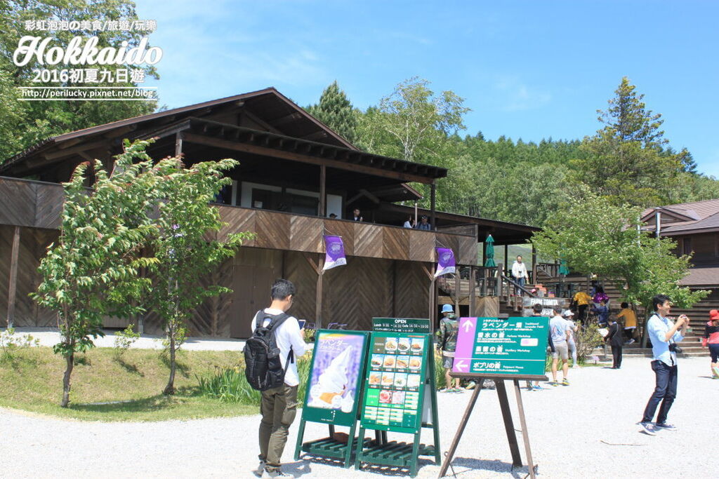 30.富良野富田農場.jpg