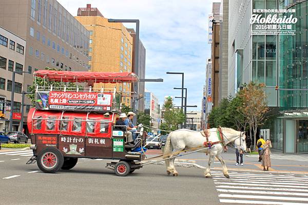 07.札幌觀光馬車.jpg