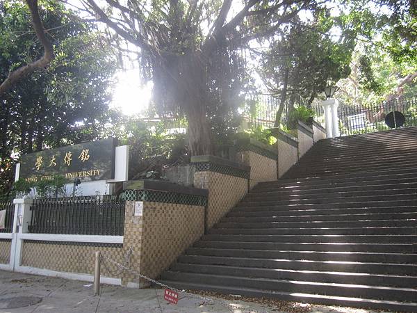 IMG_6509 IMG_6509