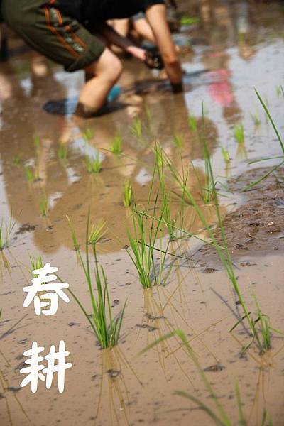 春耕1.jpg 春耕1.jpg