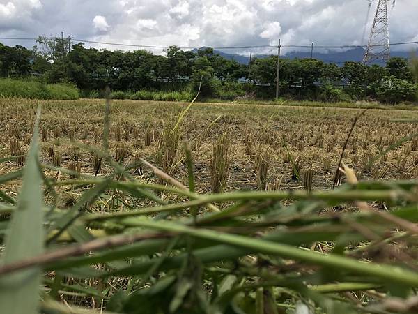 檔案_000.jpeg 檔案_000.jpeg