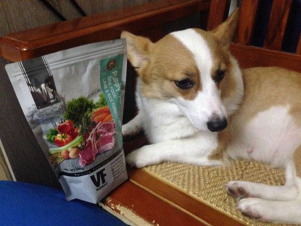 IMG_6085.JPG IMG_6085.JPG