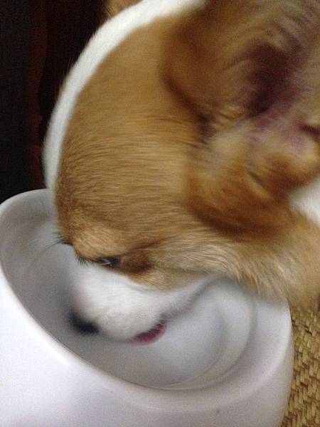 IMG_6092.JPG IMG_6092.JPG