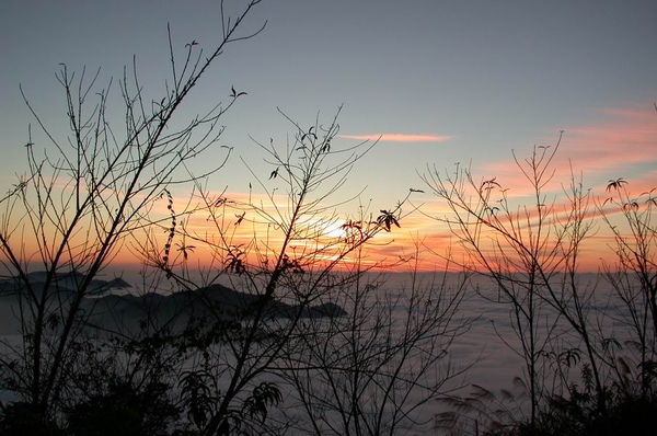 阿里山雲海10.jpg