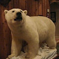 054 是北極熊,雖然不是第一次看到北極熊標本,但有人放在家裡真的很誇張啊...JPG