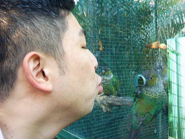 Oh well, he is kissing the bird.