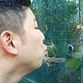 Oh well, he is kissing the bird.