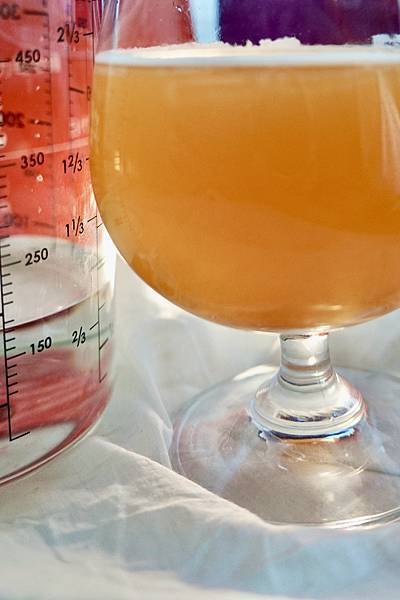 保養｜goiae果葉康普茶日夜代謝組 - 享受美食無負擔