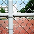 Olympus 35RC_sample_photo_17.JPG