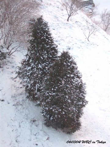 從飯店房間拍攝的雪景