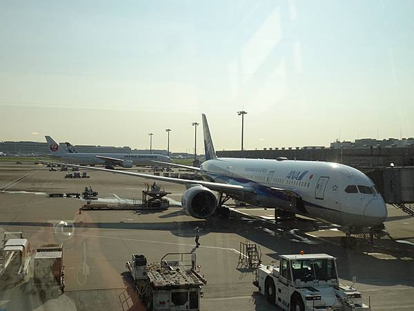 [分享] 20230725 ANA全日空 雅加達-羽田商務艙