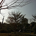 20110206-022.jpg