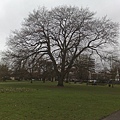 201102023353.jpg