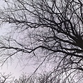 201102023367.jpg