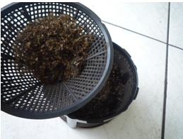 捕蚊燈4 捕蚊燈4