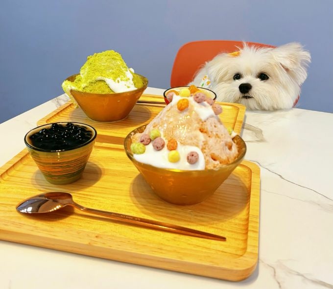 【台中冰品】漩冰製冰所|新開幕!隱身在東海巷弄的冰品冰酥店~ 【台中冰品】漩冰製冰所|新開幕!隱身在東海巷弄的冰品冰酥店~