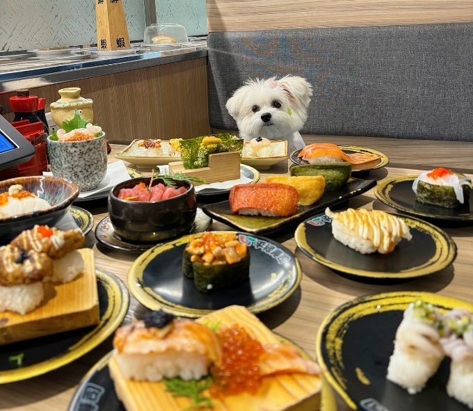 【台中壽司】平禄壽司|台中必去的迴轉壽司店!不只壽司好吃 甜 【台中壽司】平禄壽司|台中必去的迴轉壽司店!不只壽司好吃 甜