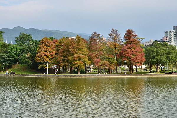 大湖公園