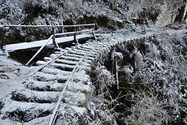 太平山見晴步道 (11).JPG