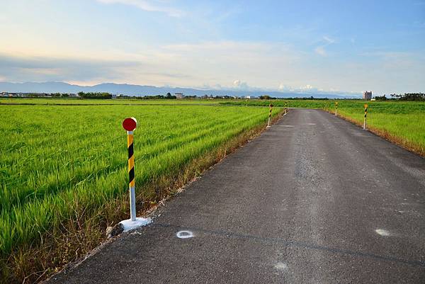 宜蘭伯朗大道 (17)