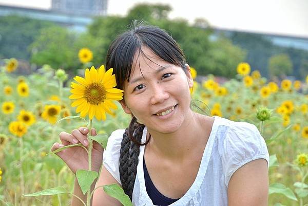 幸福水漾公園向日葵 (7)