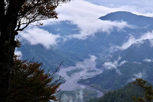 山毛櫸步道 (16)