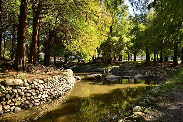 羅冬運動公園 (8)