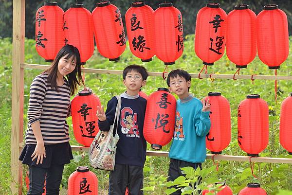 莿桐孩沙里花海 (14)