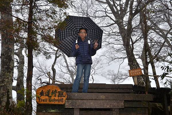 山毛櫸步道 (19)